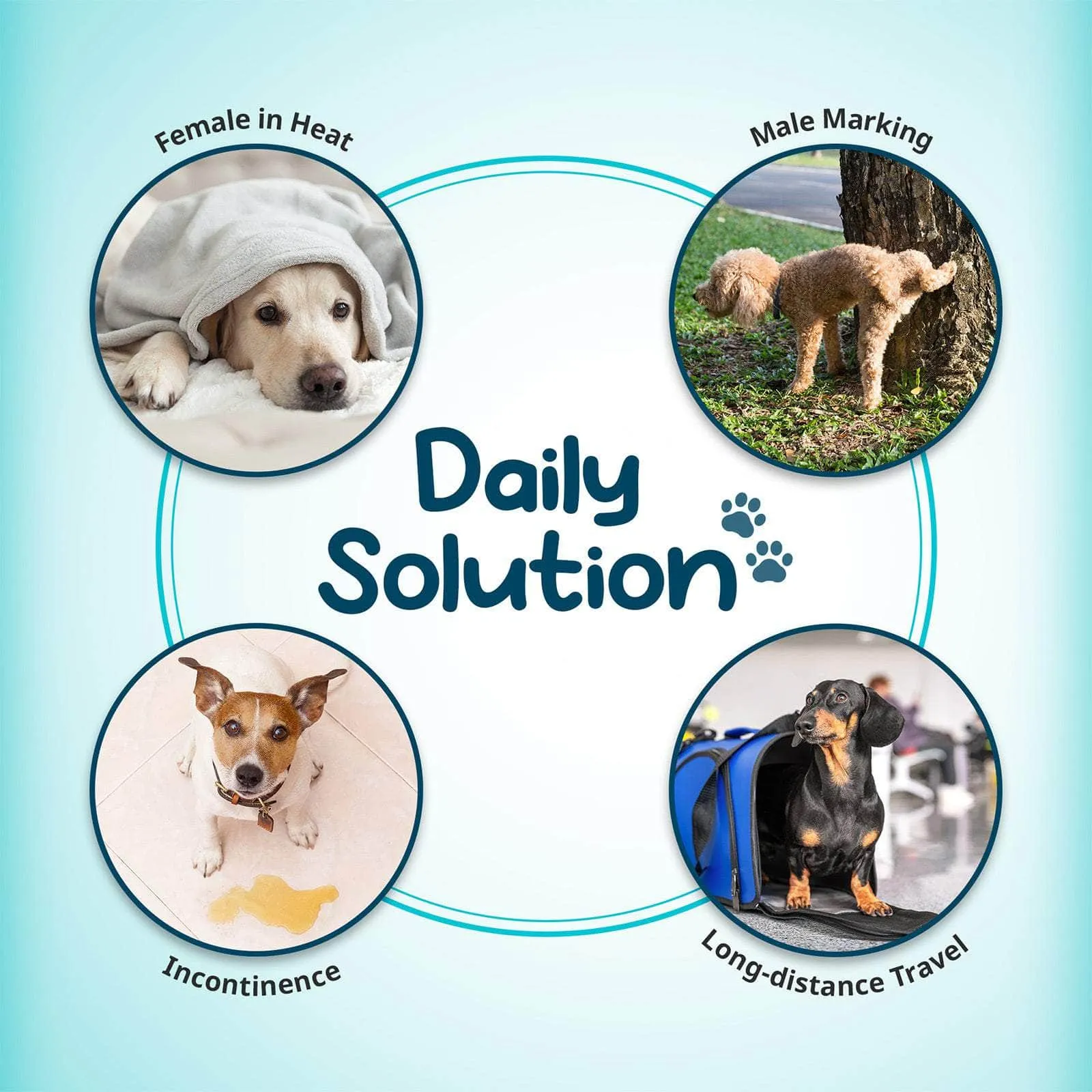 100 Ct L/S/XS Pet Dog Diaper Liners Booster Pads Disposable Adhesive