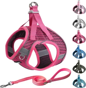 AIITLE Step in Dog Harness and Leash Set for Walking - Adjustable Dog Harness with Padded Vest for All Weather, Reflective Adjustable Pet Harness, Easy to Put on Small Dogs Hot Pink S