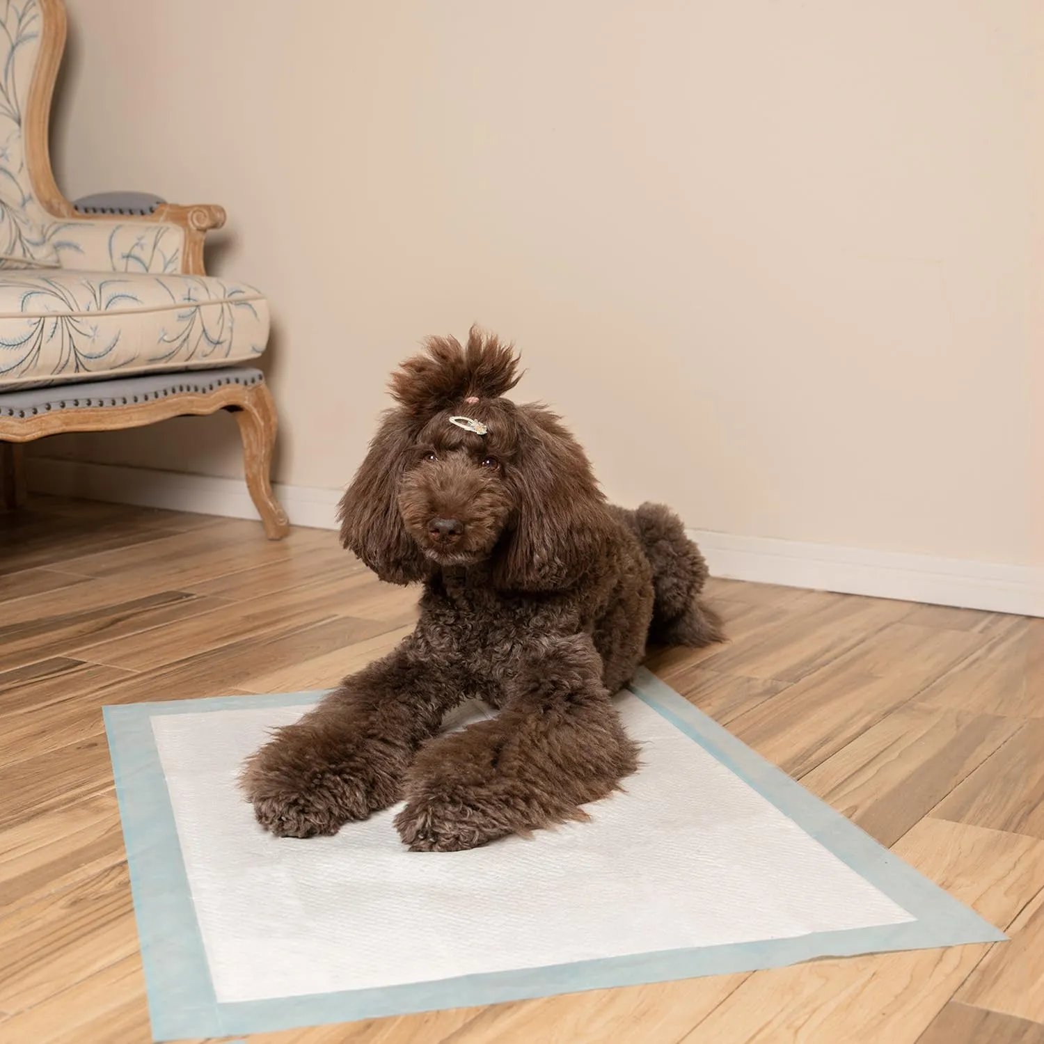 Best Pet Supplies Puppy Pads - Disposable, Dog Training Potty, Super Absorbent Blue Puppy Pee Pads for Dogs (Pack of 50, X-Large)