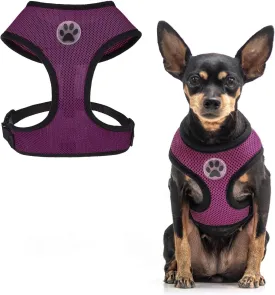 BINGPET No Pull Dog Harness for Small Dog,Soft Adjustable No Choke Escape Proof Pet Harness Vest,Fully Adjustable Harness,Breathable Mesh Puppy Cat Harnesses,Purple,S