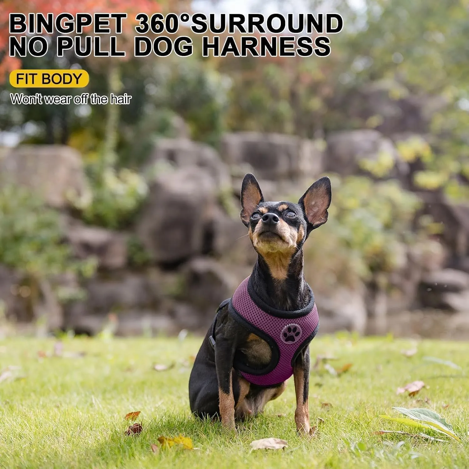 BINGPET No Pull Dog Harness for Small Dog,Soft Adjustable No Choke Escape Proof Pet Harness Vest,Fully Adjustable Harness,Breathable Mesh Puppy Cat Harnesses,Purple,S