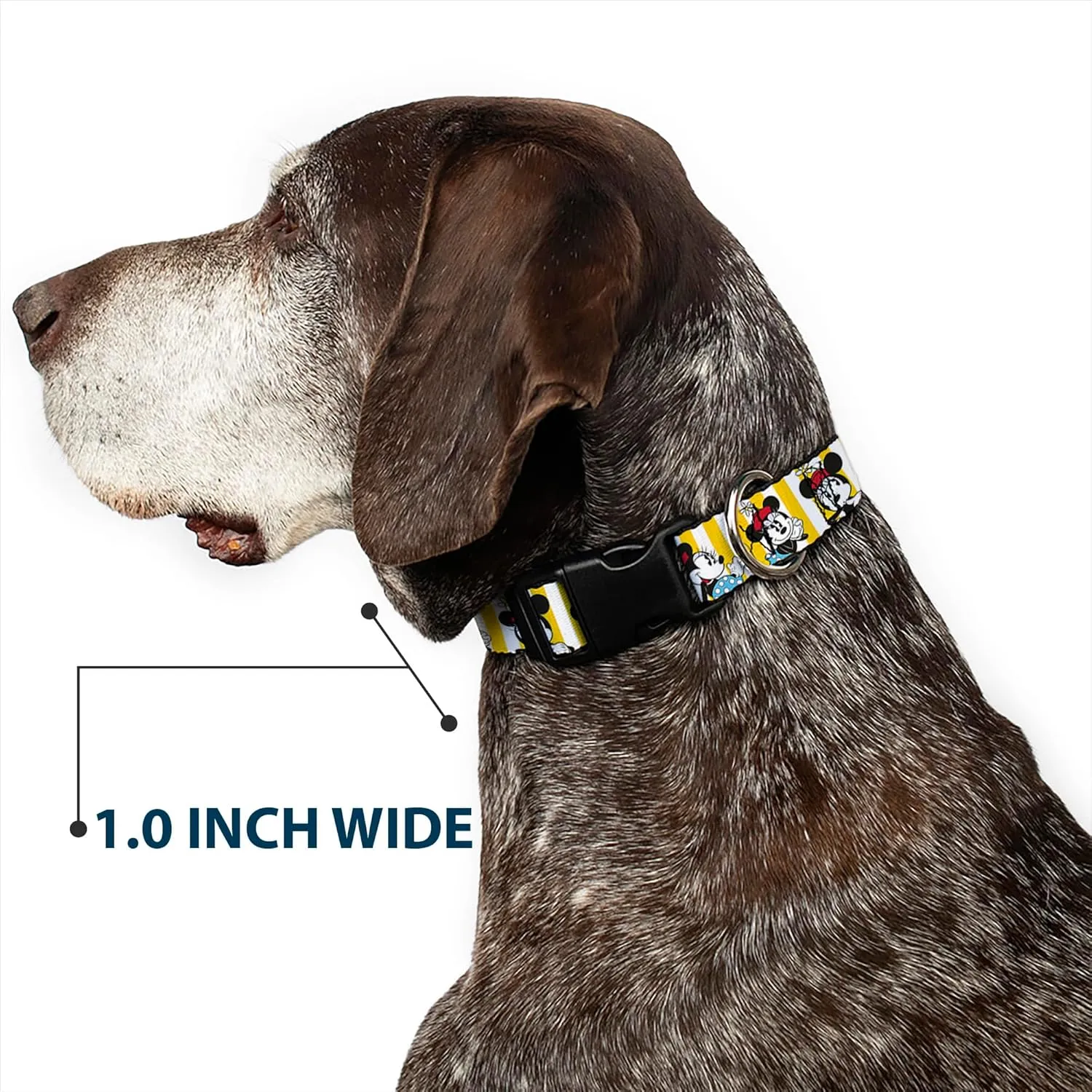 Buckle-Down Minnie Mouse with Hat Poses Stripe Yellow/White Plastic Clip Collar, Wide Medium/16-23"
