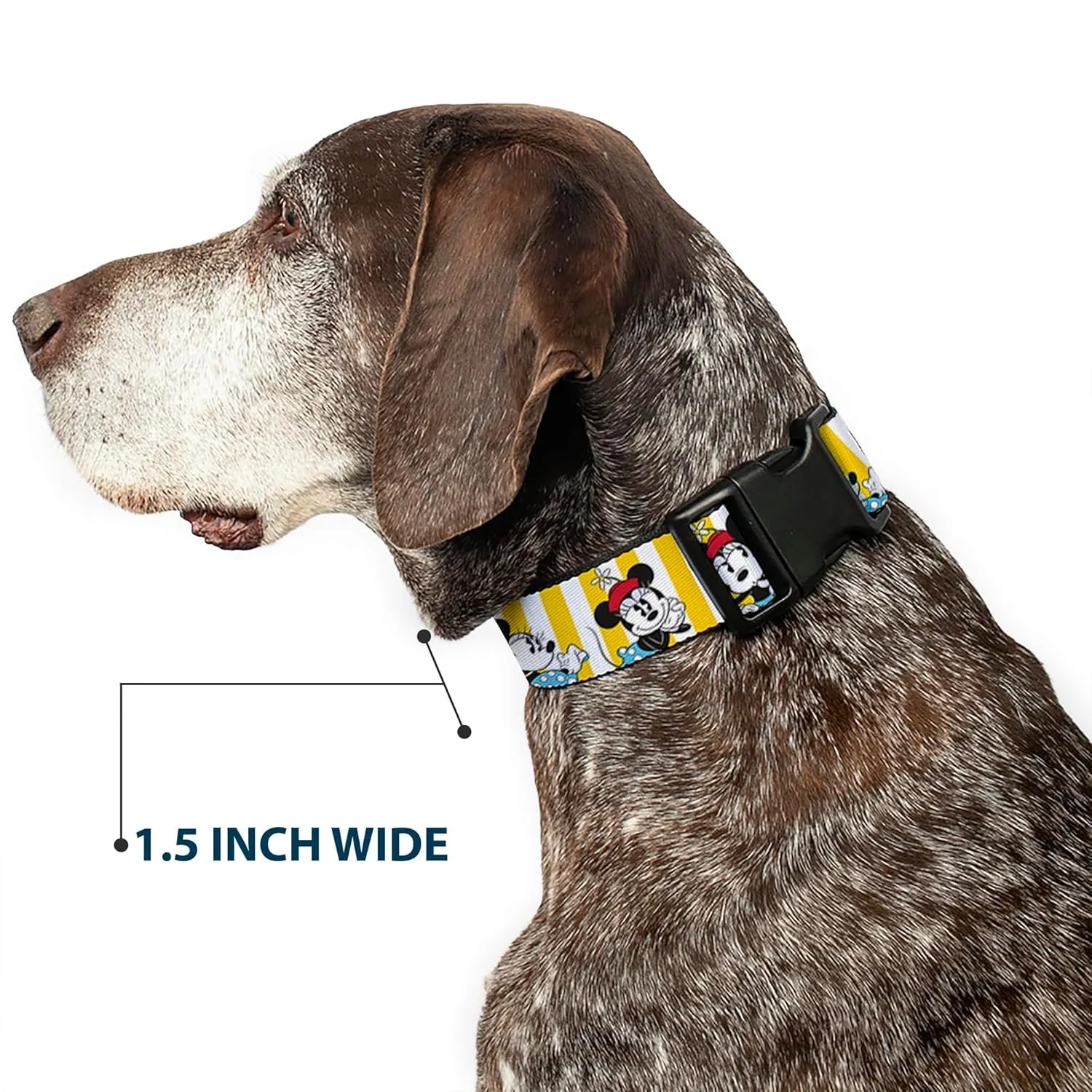 Buckle-Down Minnie Mouse with Hat Poses Stripe Yellow/White Plastic Clip Collar, Wide Medium/16-23"