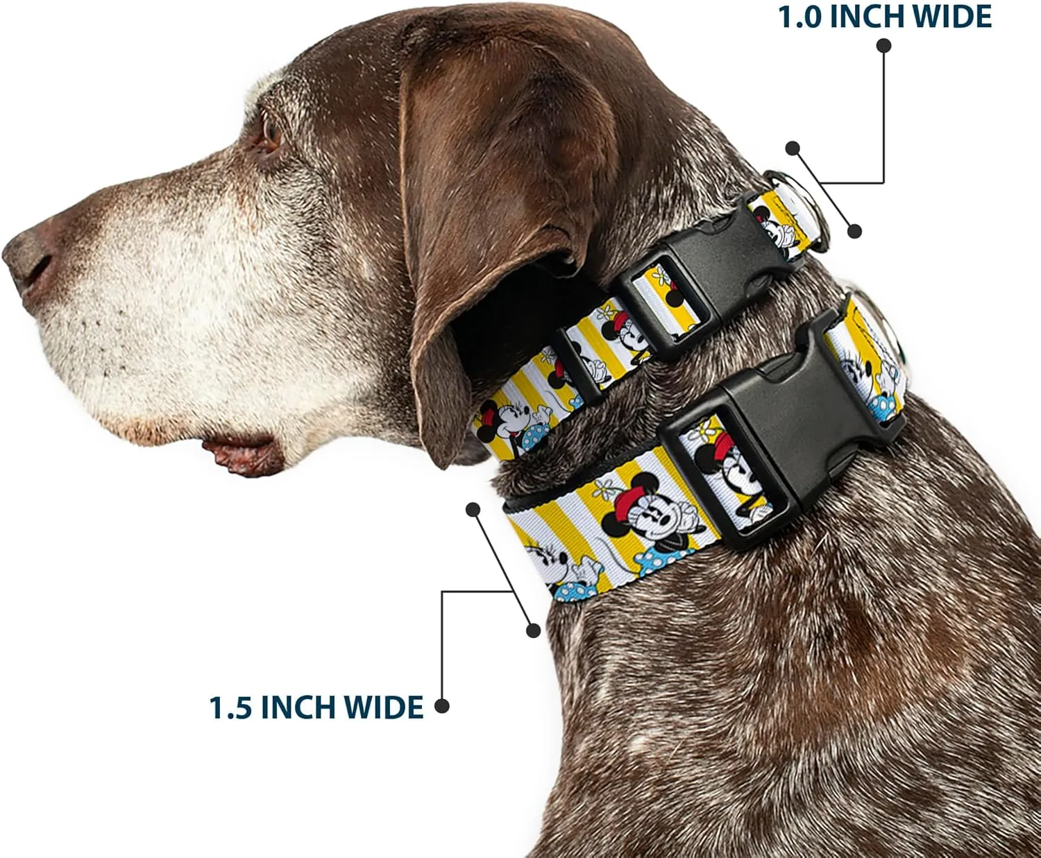 Buckle-Down Minnie Mouse with Hat Poses Stripe Yellow/White Plastic Clip Collar, Wide Medium/16-23"