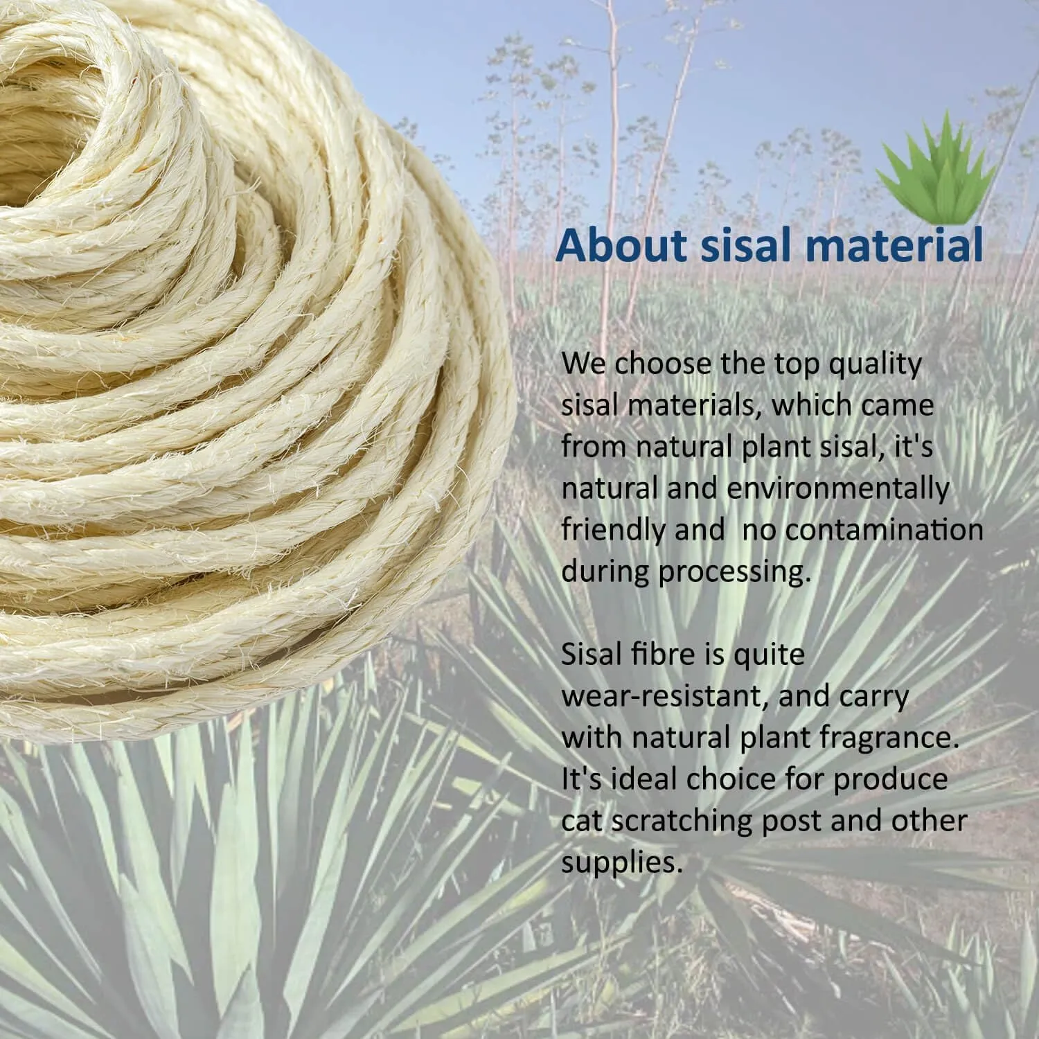 Cat Natural Sisal Rope for Scratching Post Tree Replacement, Hemp Rope for Repairing, Recovering or DIY Scratcher, White, 30FT