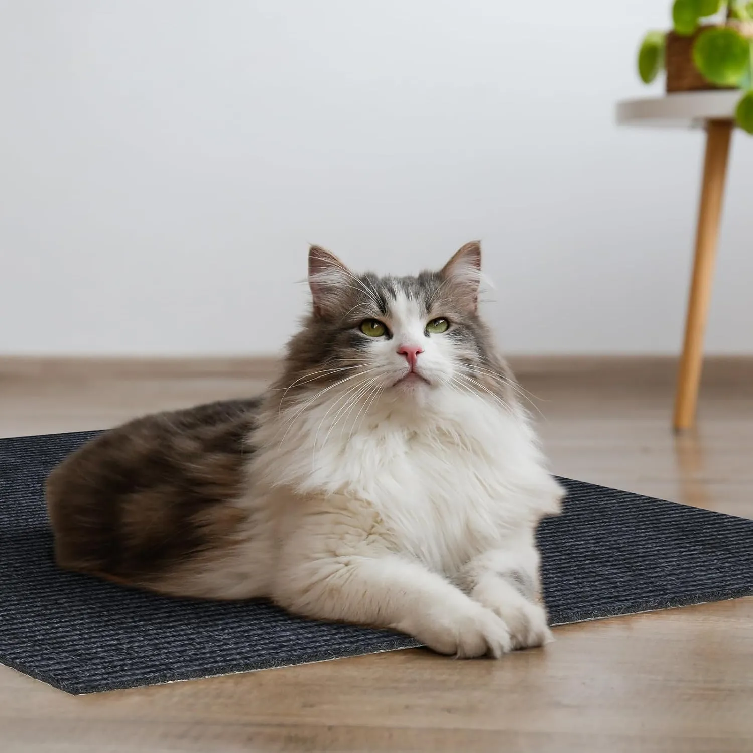 Cat Scratching Mat 39.3"x15.7" Trimmable Self-Adhesive Carpet DIY Climbing Cat Scratcher for Replacement Pads Covering Posts Furniture Protection