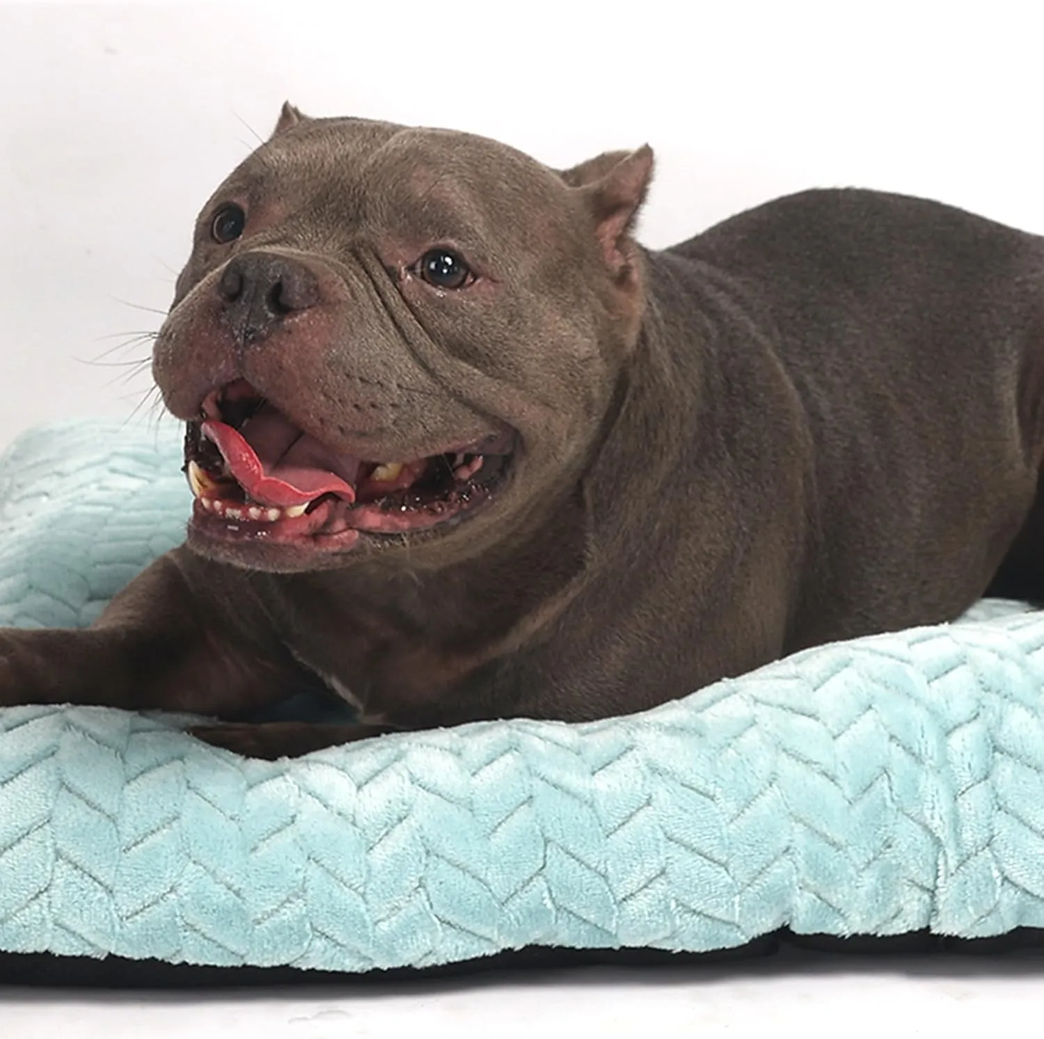 Crate Bed 36 Inch Washable,Dog Crate Bed Medium fit Medium Breeds Dogs Up to 70 Lbs,Dog Bed for Crate 36x24 for Anti-Slip Bottom,Blue