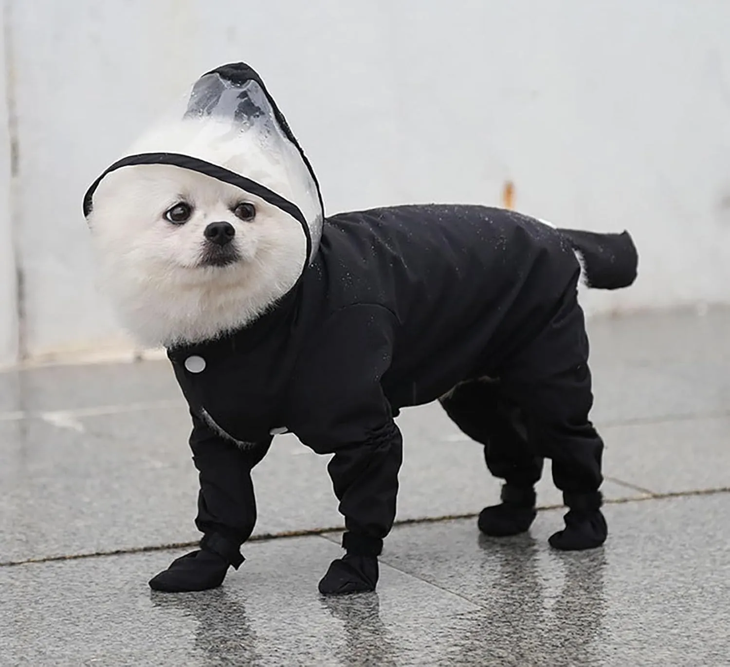 Dog Raincoat with Hood, Waterproof Full-Coverage Reflective Rain Jacket Quick-Drying Rain Poncho and Shoes for Small Medium Large Dogs,Black,L