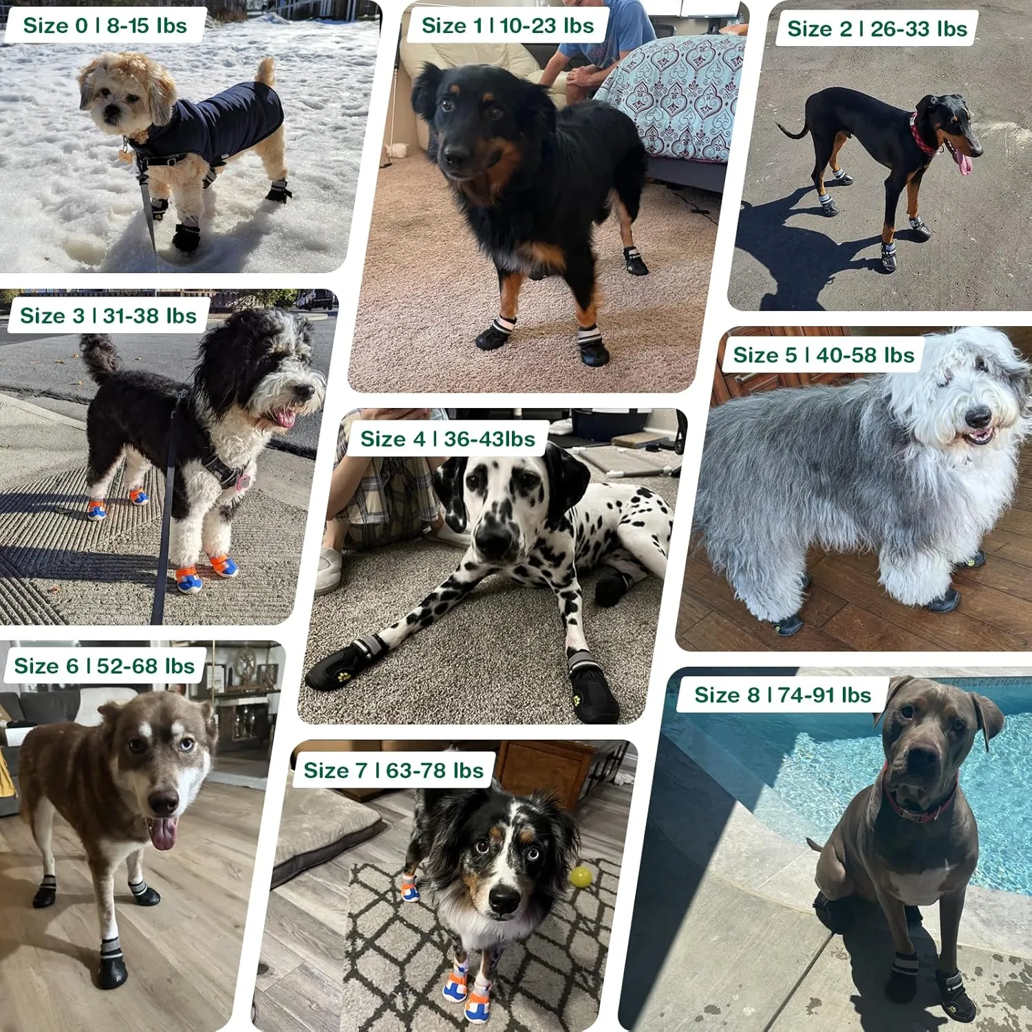 Dog Shoes for Medium Dogs, Large Dog Boots for Winter Snow, Hot Pavement, Dog Booties & Paw Protectors Size 5