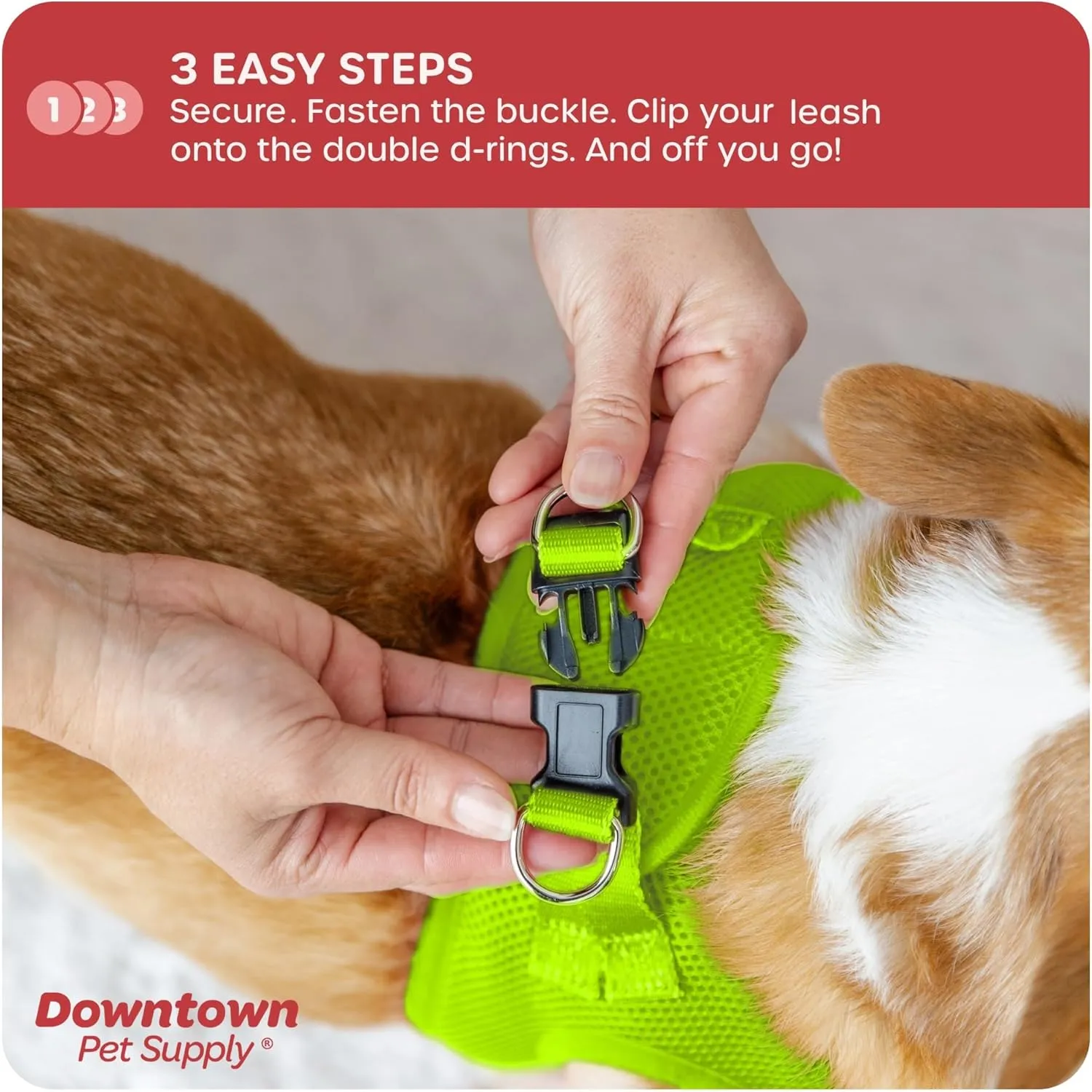 Downtown Pet Supply Step in Dog Harness for Teacup Dogs & Cats No Pull, XX-Small, Atomic Yellow - Adjustable Harness with Padded Mesh Fabric and Reflective Trim - Buckle Strap Harness for Dogs