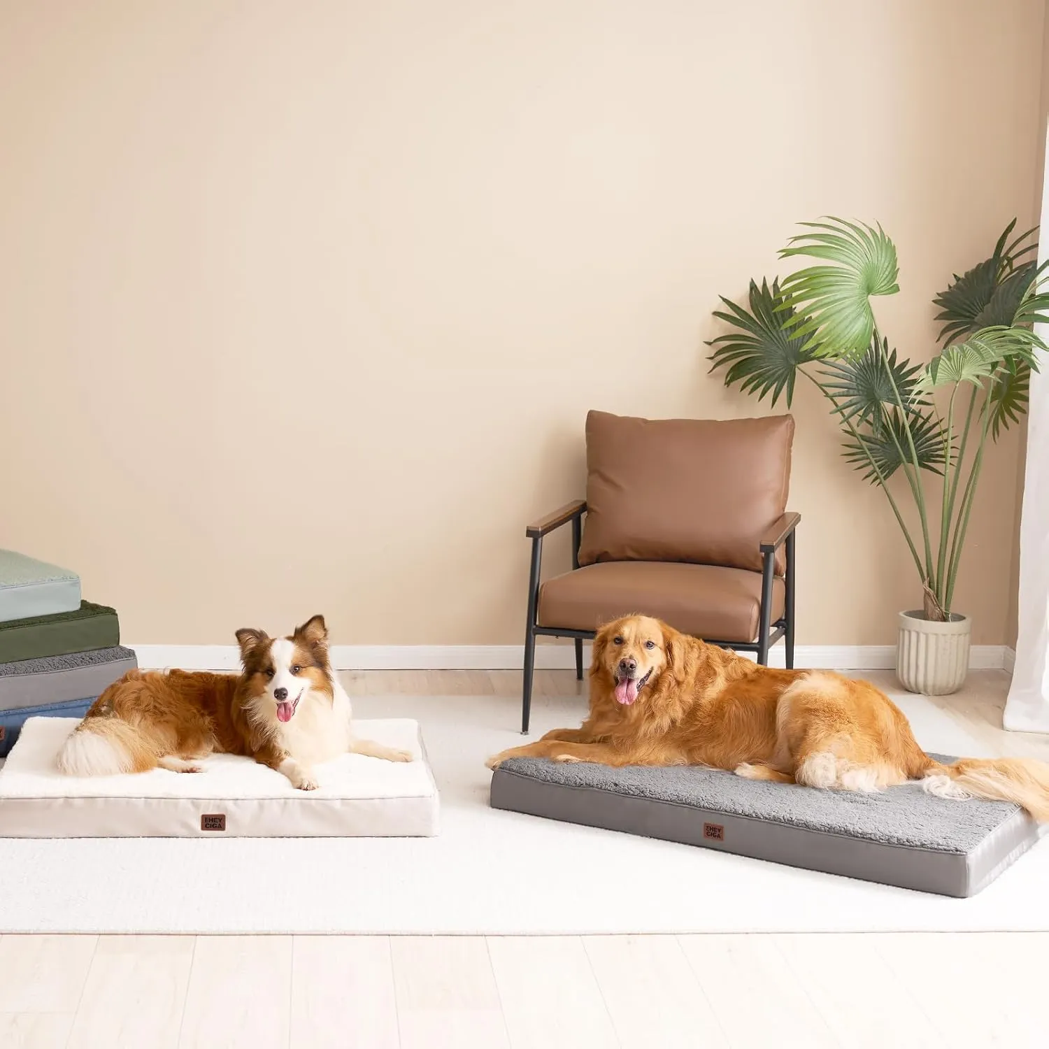 EHEYCIGA Orthopedic XL Dog Beds for Extra Large Dogs with Removable Washable Cover, Light Grey, 44x32