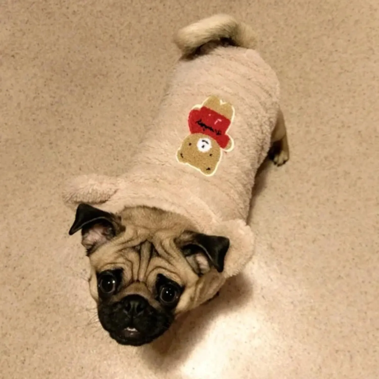 Fleece Dog Hoodies Warm Pet Clothes for Small Dog Coat Jacket Cute Bear Ear Dog Clothing Chihuahua Yorkie Costume (Beige,S)