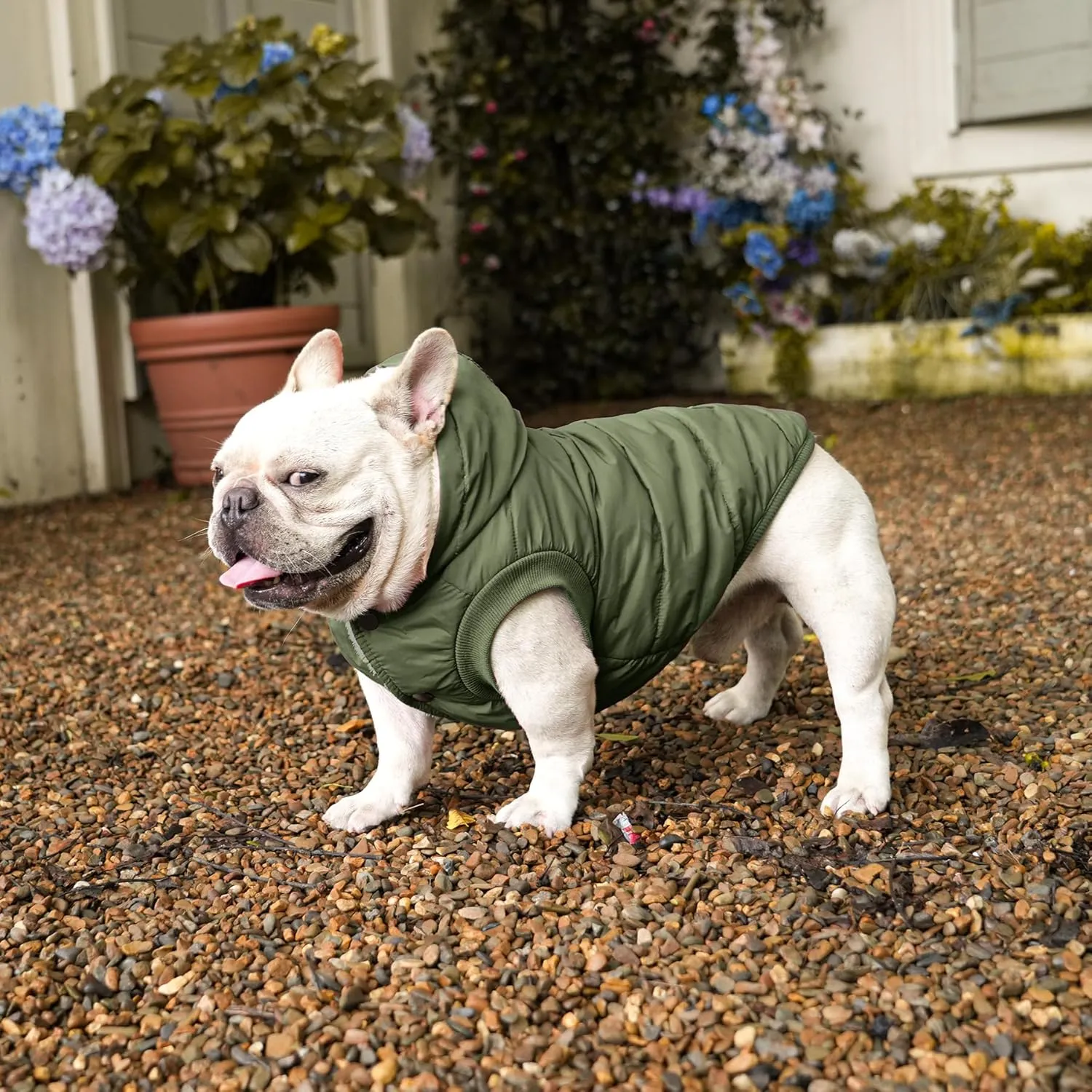 Fleece Lining Extra Warm Dog Hoodie in Winter,Small Dog Jacket Puppy Coats with Hooded Green S