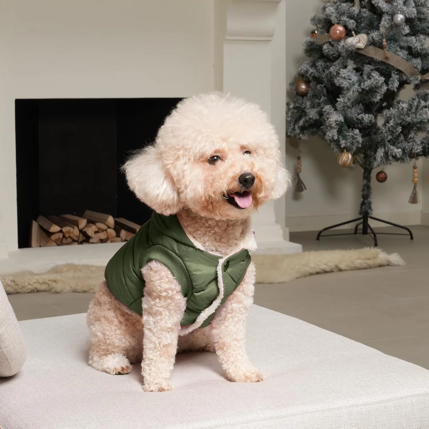 Fleece Lining Extra Warm Dog Hoodie in Winter,Small Dog Jacket Puppy Coats with Hooded Green S