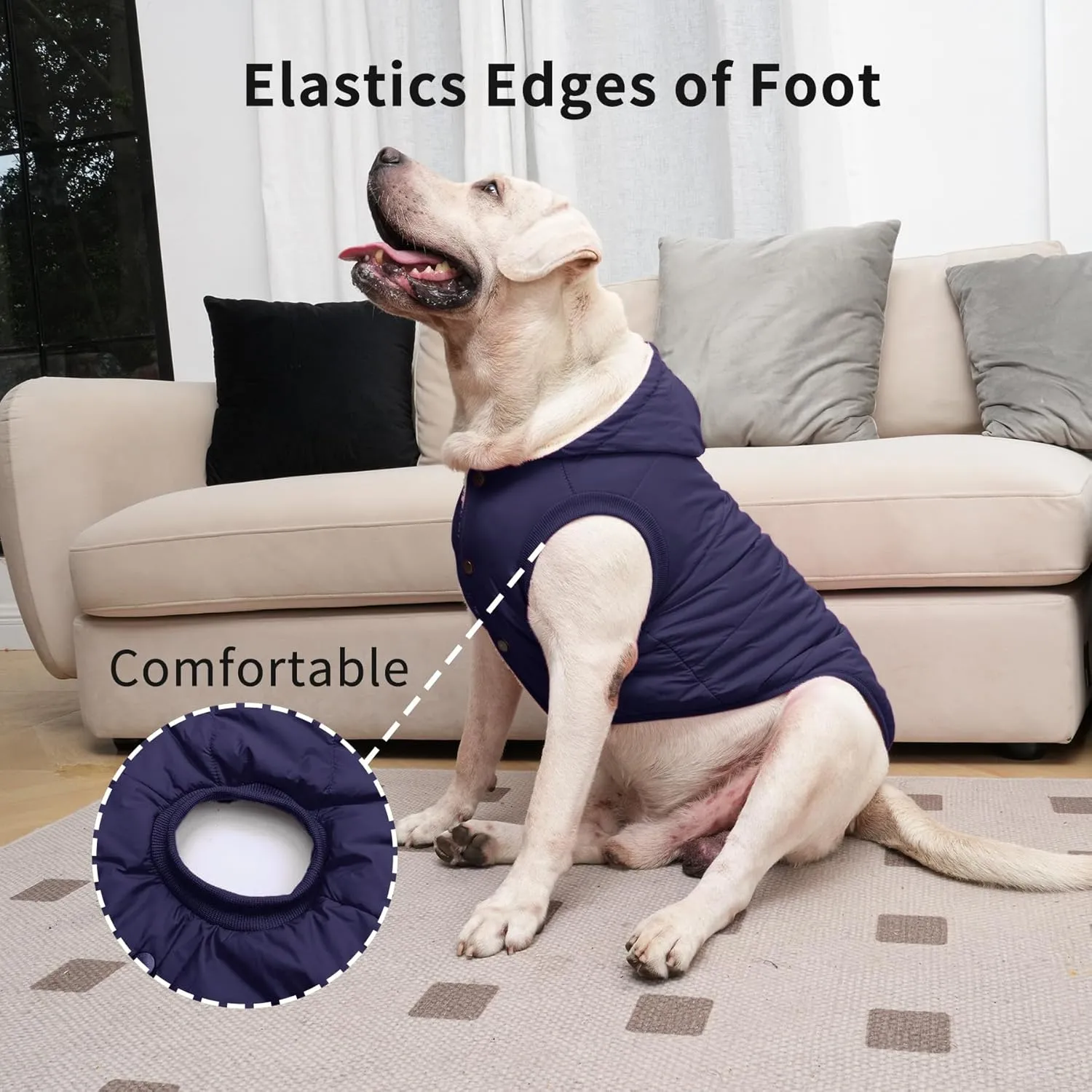 Fleece Lining Extra Warm Dog Hoodie in Winter,Small Dog Jacket Puppy Coats with Hooded,Blue S