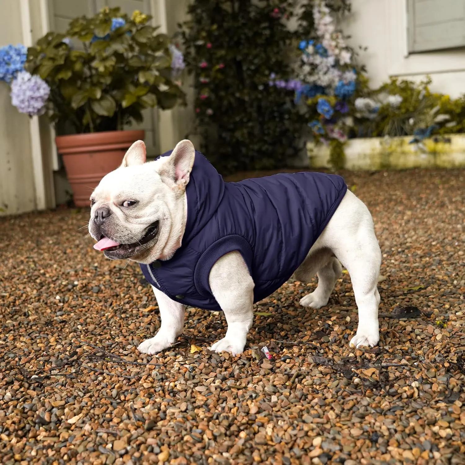 Fleece Lining Extra Warm Dog Hoodie in Winter,Small Dog Jacket Puppy Coats with Hooded,Blue S