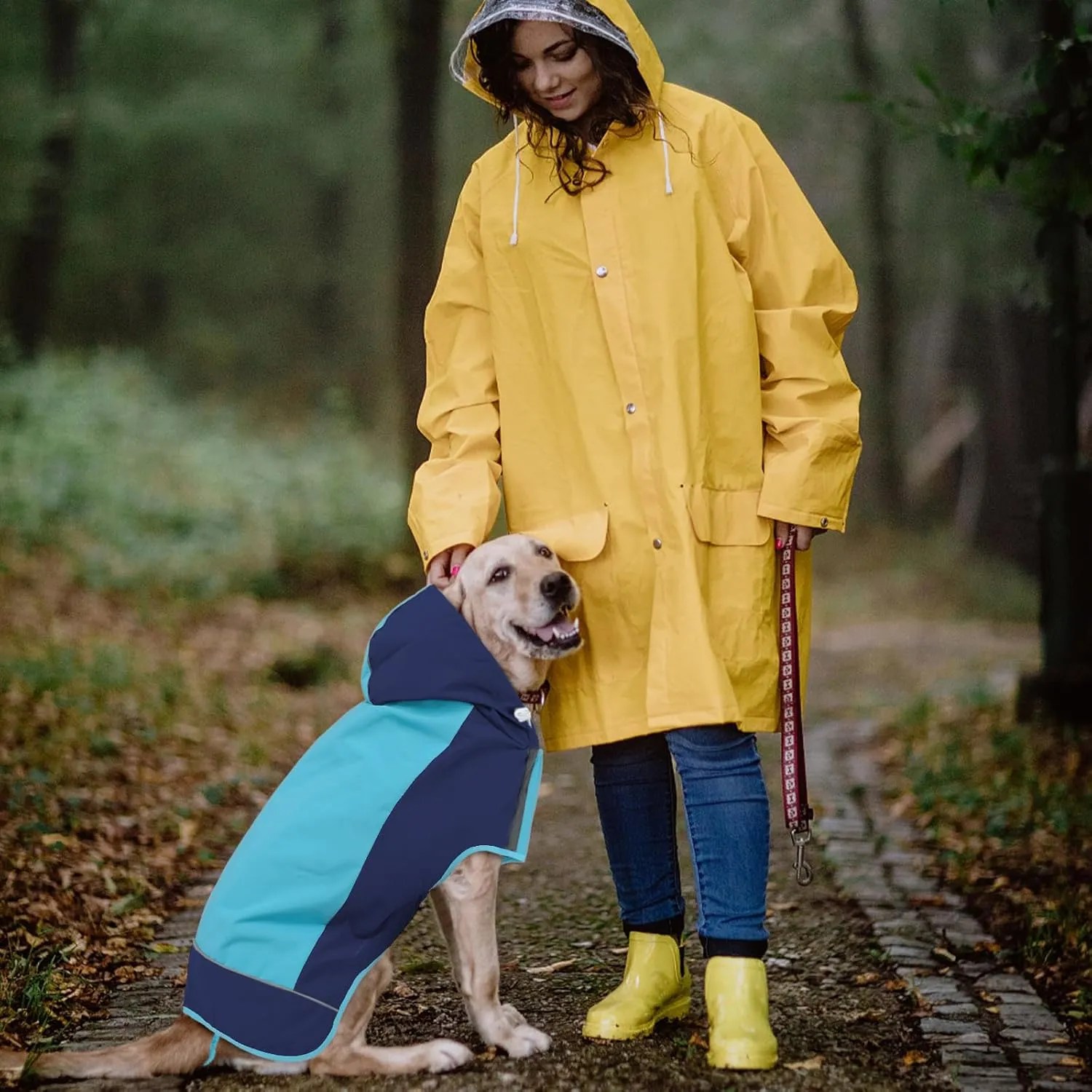 IECOii Dog Raincoat,Waterproof Rain Jacket for Medium Dogs,Adjustable Pet Rain Coat with Magic Sticker Closure,Reflective Doggy Raincoat with Hood,Perfect for Night Walking,Blue,M
