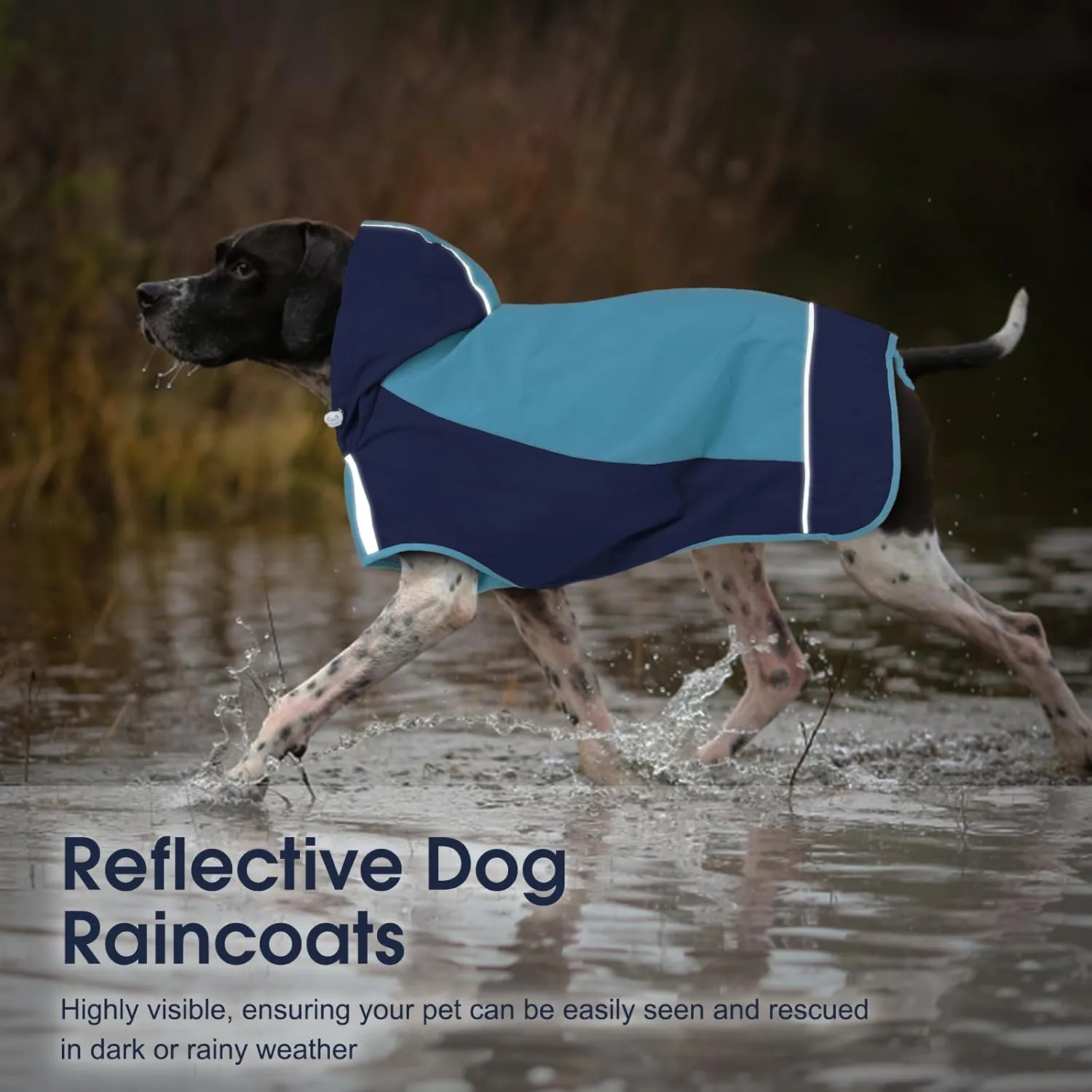 IECOii Dog Raincoat,Waterproof Rain Jacket for Medium Dogs,Adjustable Pet Rain Coat with Magic Sticker Closure,Reflective Doggy Raincoat with Hood,Perfect for Night Walking,Blue,M