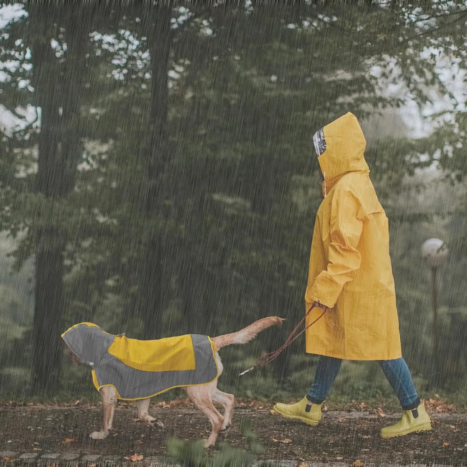 IECOii Dog Raincoat,Waterproof Rain Jacket for Medium Dogs,Adjustable Pet Rain Coat with Magic Sticker Closure,Reflective Doggy Raincoat with Hood,Perfect for Night Walking,Yellow,M