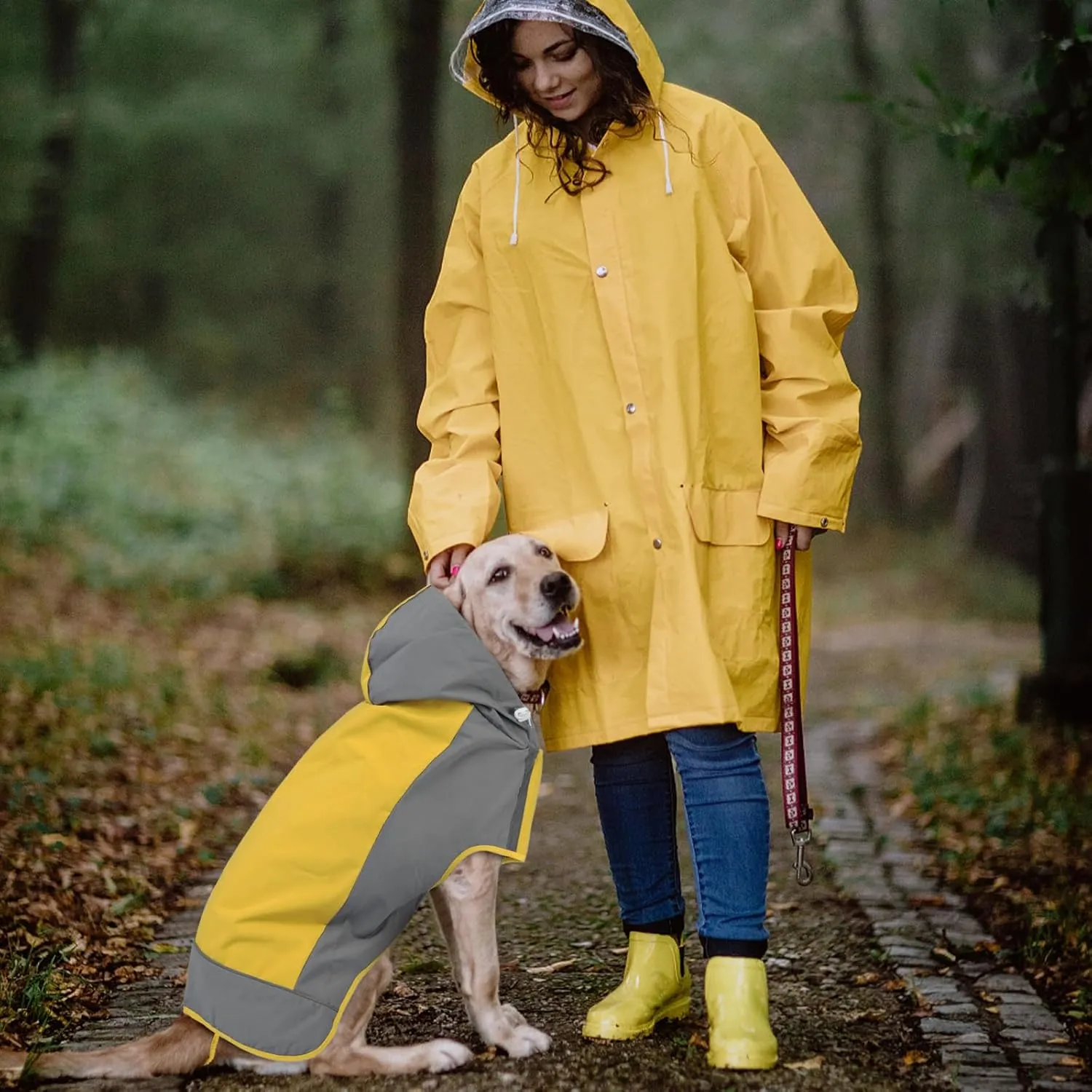 IECOii Dog Raincoat,Waterproof Rain Jacket for Medium Dogs,Adjustable Pet Rain Coat with Magic Sticker Closure,Reflective Doggy Raincoat with Hood,Perfect for Night Walking,Yellow,M