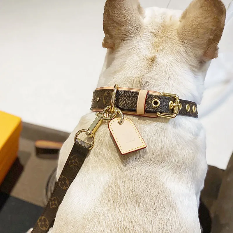 JW604 LB Dog Collar / Traction Rope