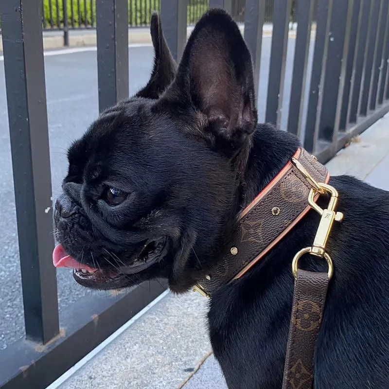 JW604 LB Dog Collar / Traction Rope