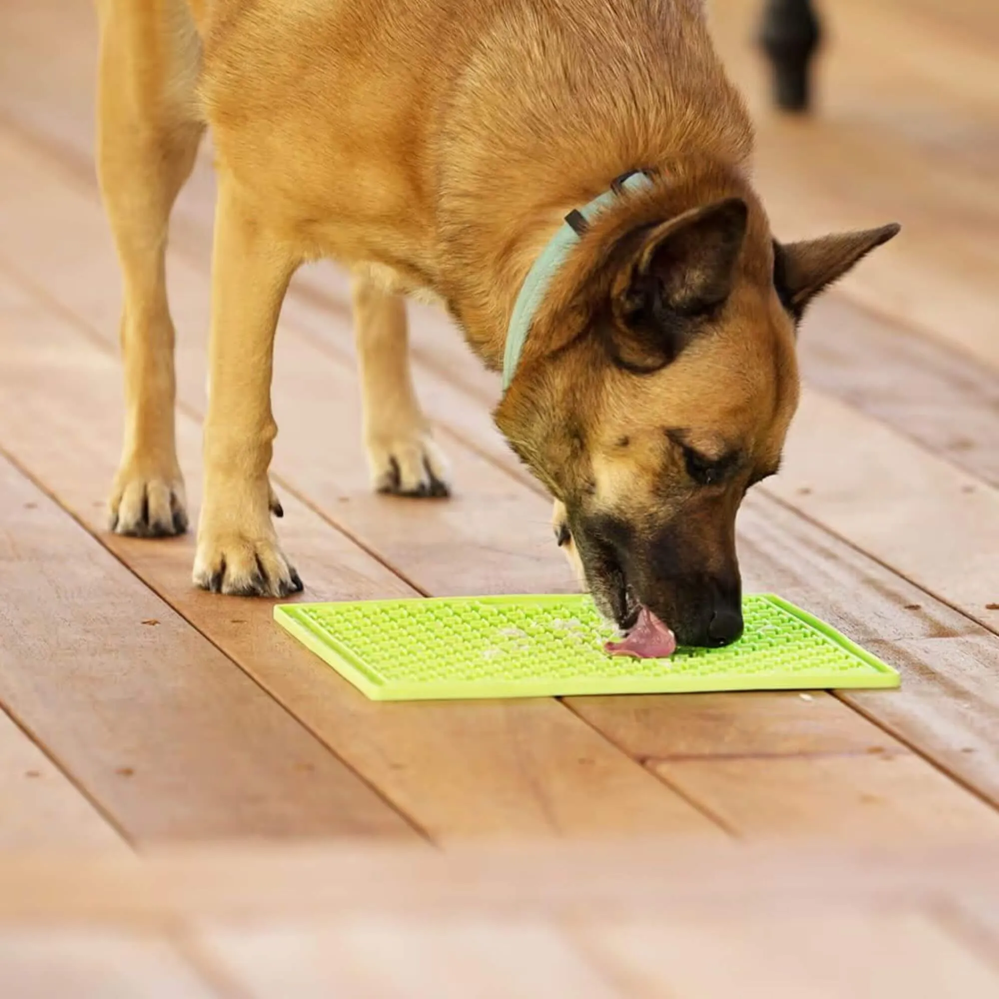 LickiMat Buddy XL Bordem Buster for Larger Dogs