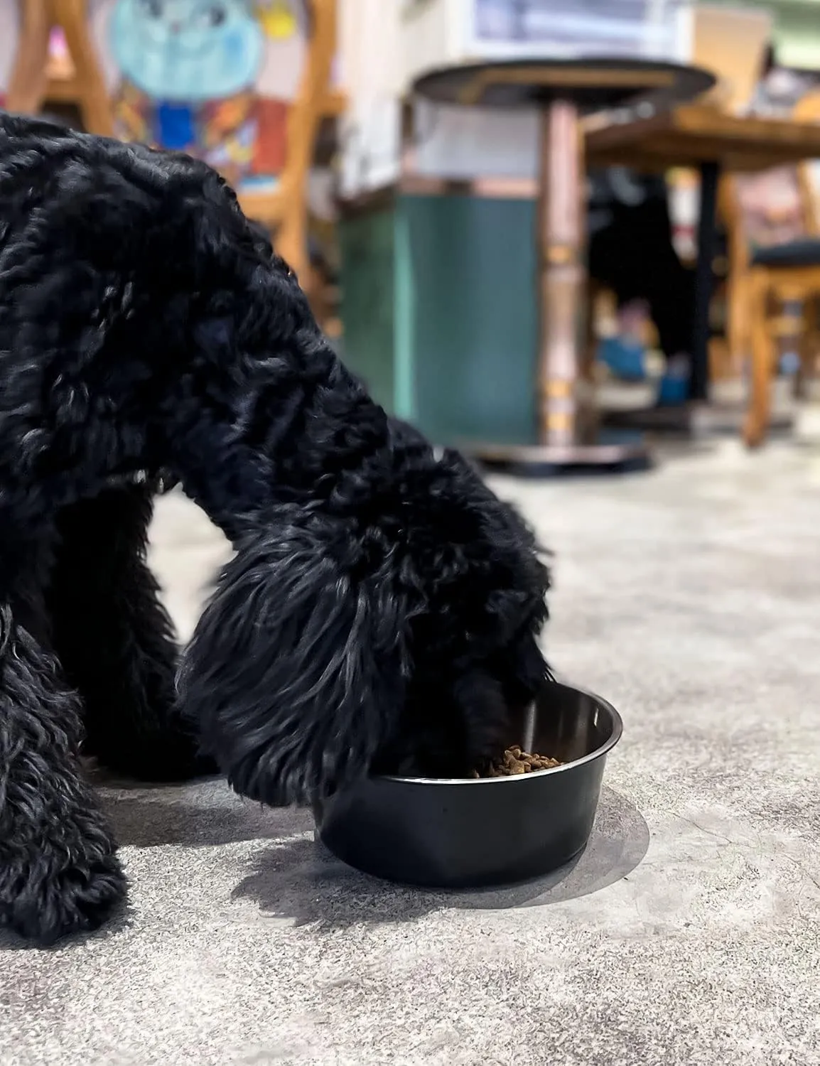 LIHONG Stainless Steel Dog Bowls, Non Slip Dog Bowls, Dog Food Water Bowls, Pet Bowls for Small Medium Large Dogs Cats, Metal Basic Bowls, Dishwasher Safe, Easy to Clean, Green