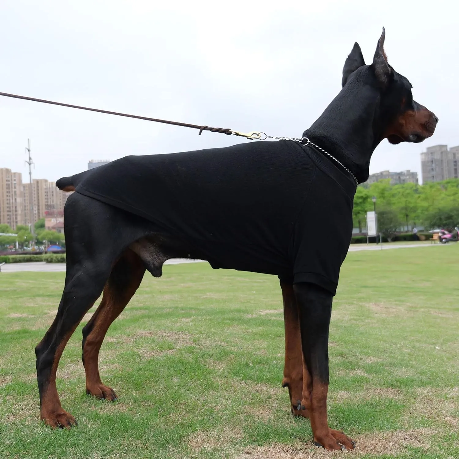 Lovelonglong Ribbed Dog T-Shirt Cotton Knitted Dog Sweaters for All Season Pet T-Shirts for Large Medium Small Dogs Black 3XL