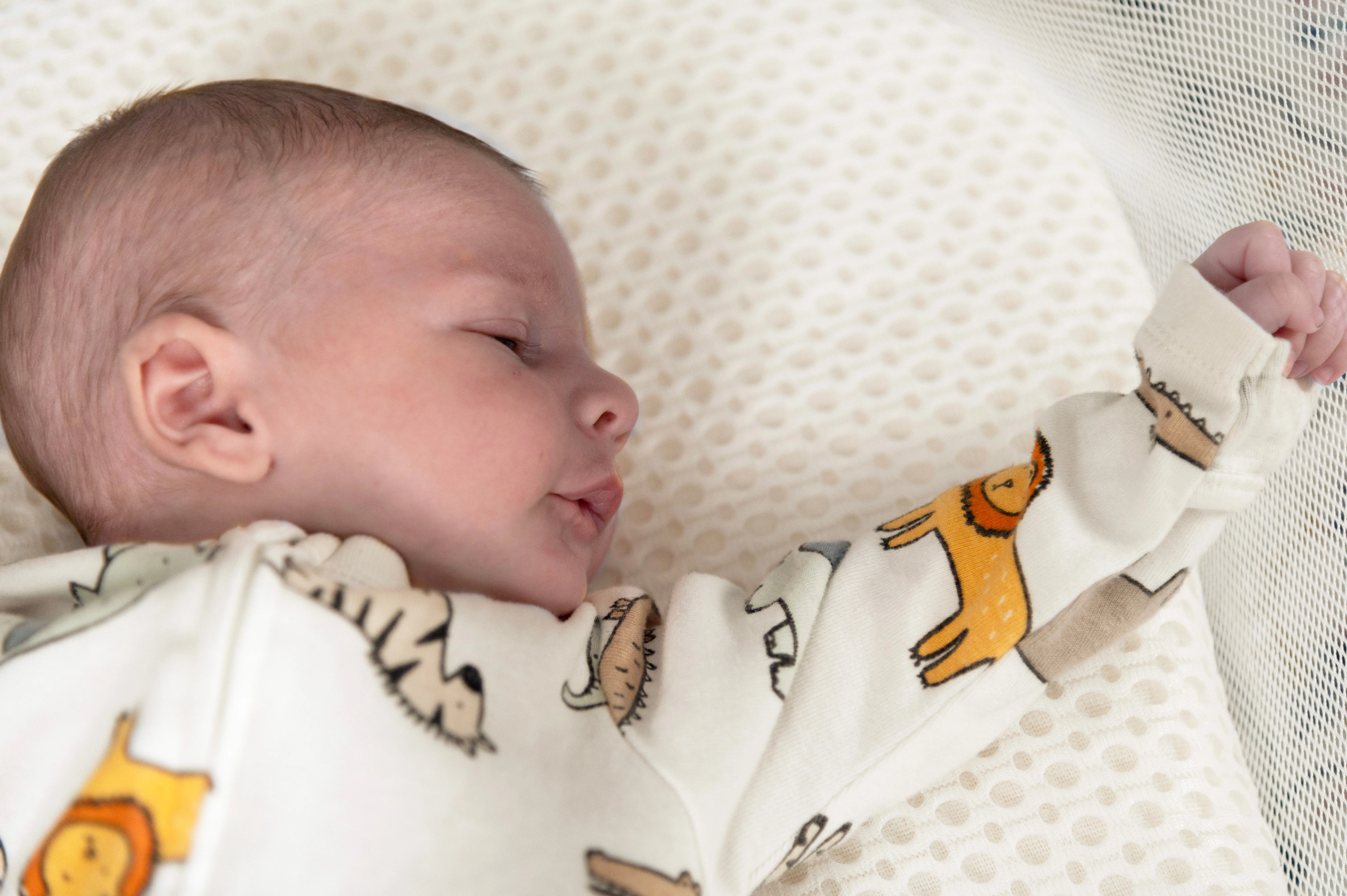Naturepedic Organic Bassinet Mattress with Breathable Cover for Halo