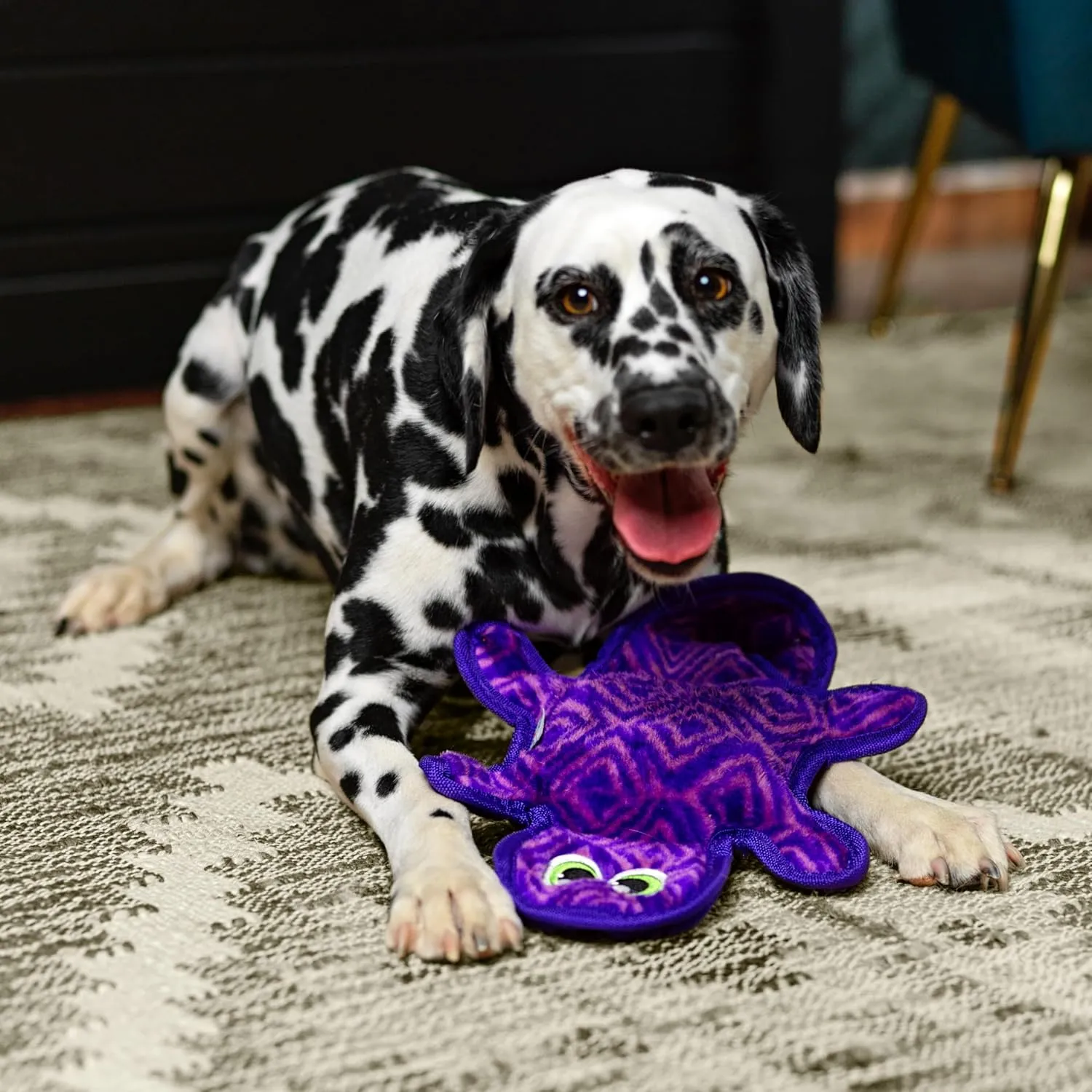 Outward Hound Durablez Stuffing-Free Squeaky Interactive Dog Toy, Tough Plush, Gecko, Purple, Medium