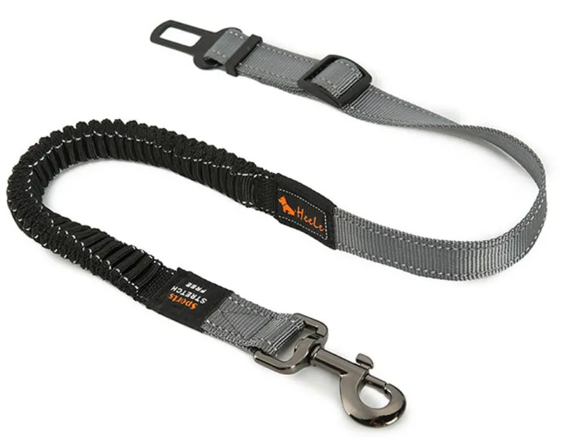 Pet car explosion-proof Okinawa traction rope