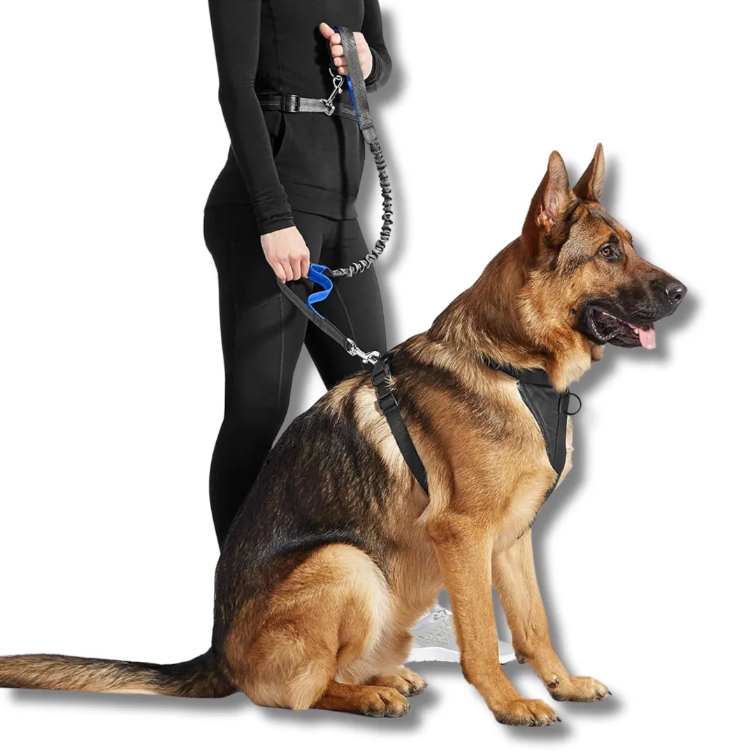 Pet Running Traction Leash