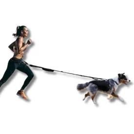 Pet Running Traction Leash