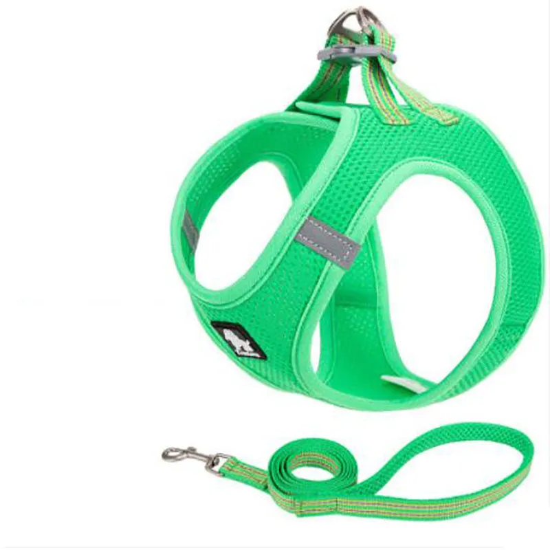 Small dog rope vest