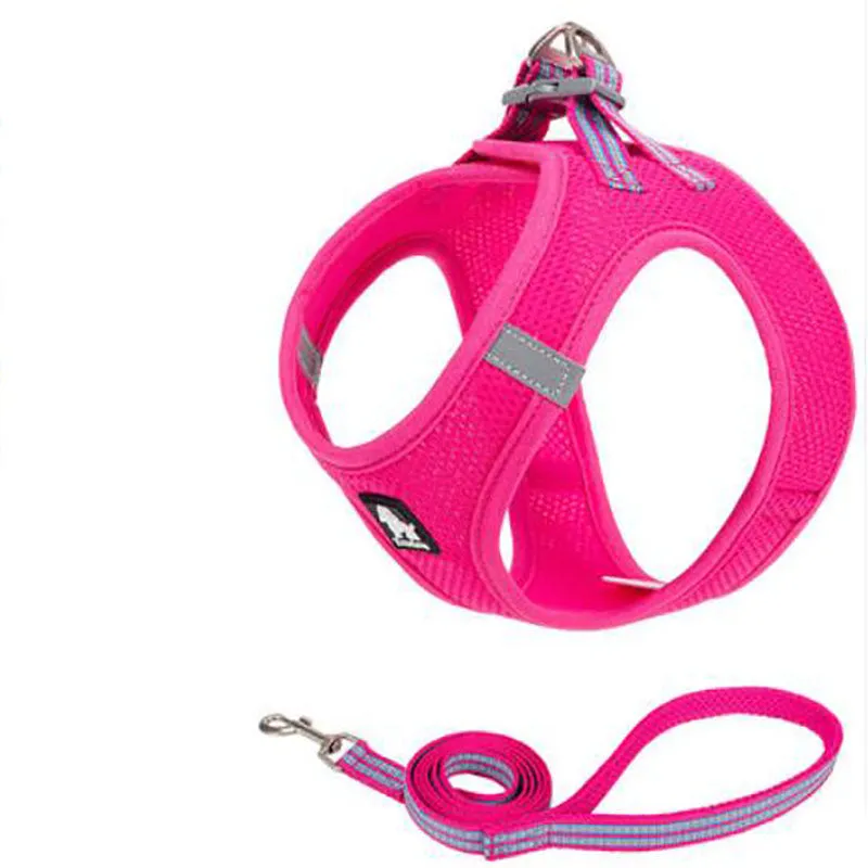 Small dog rope vest
