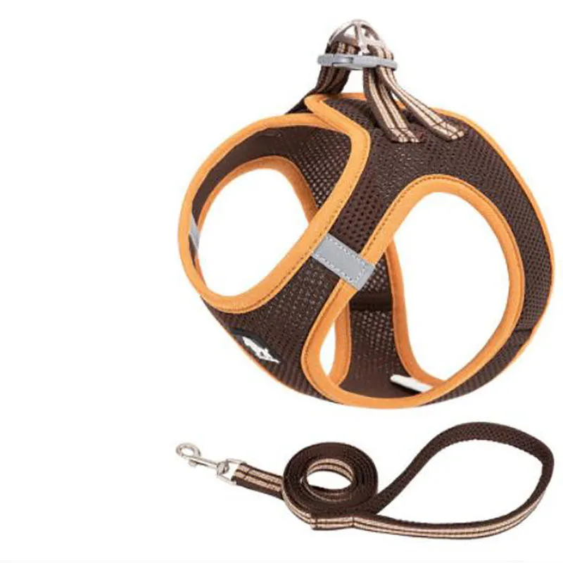 Small dog rope vest