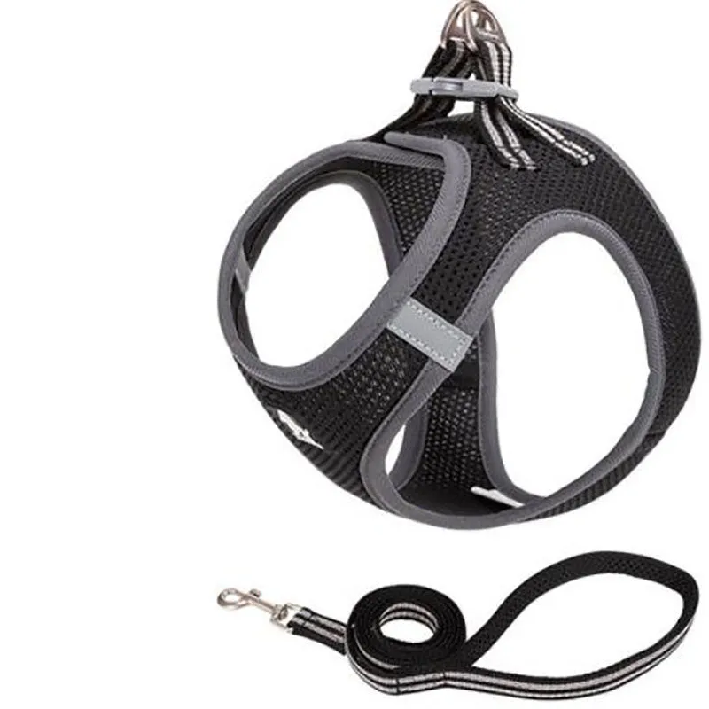 Small dog rope vest