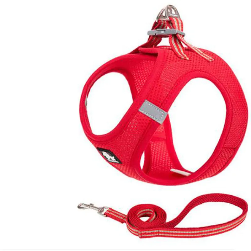 Small dog rope vest