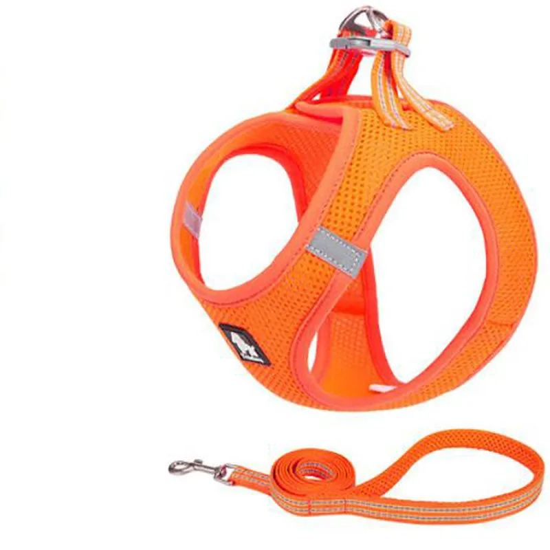Small dog rope vest