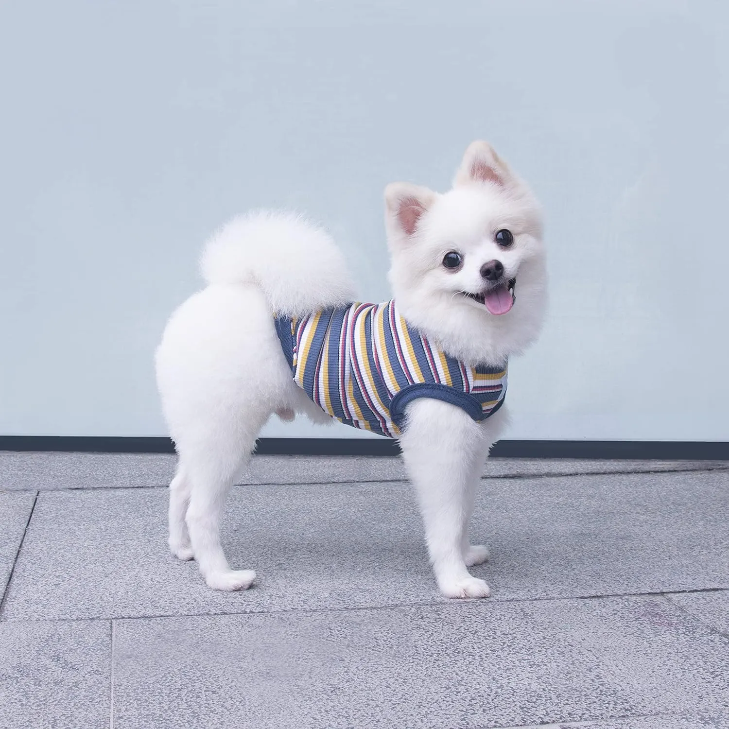 Teacup Dog Hawaiian Shirts, Puppy Clothes Summer T-shirts for Small Dogs and Cats, Printed Chihuahua Clothes Pet Apparel for Dog Boys