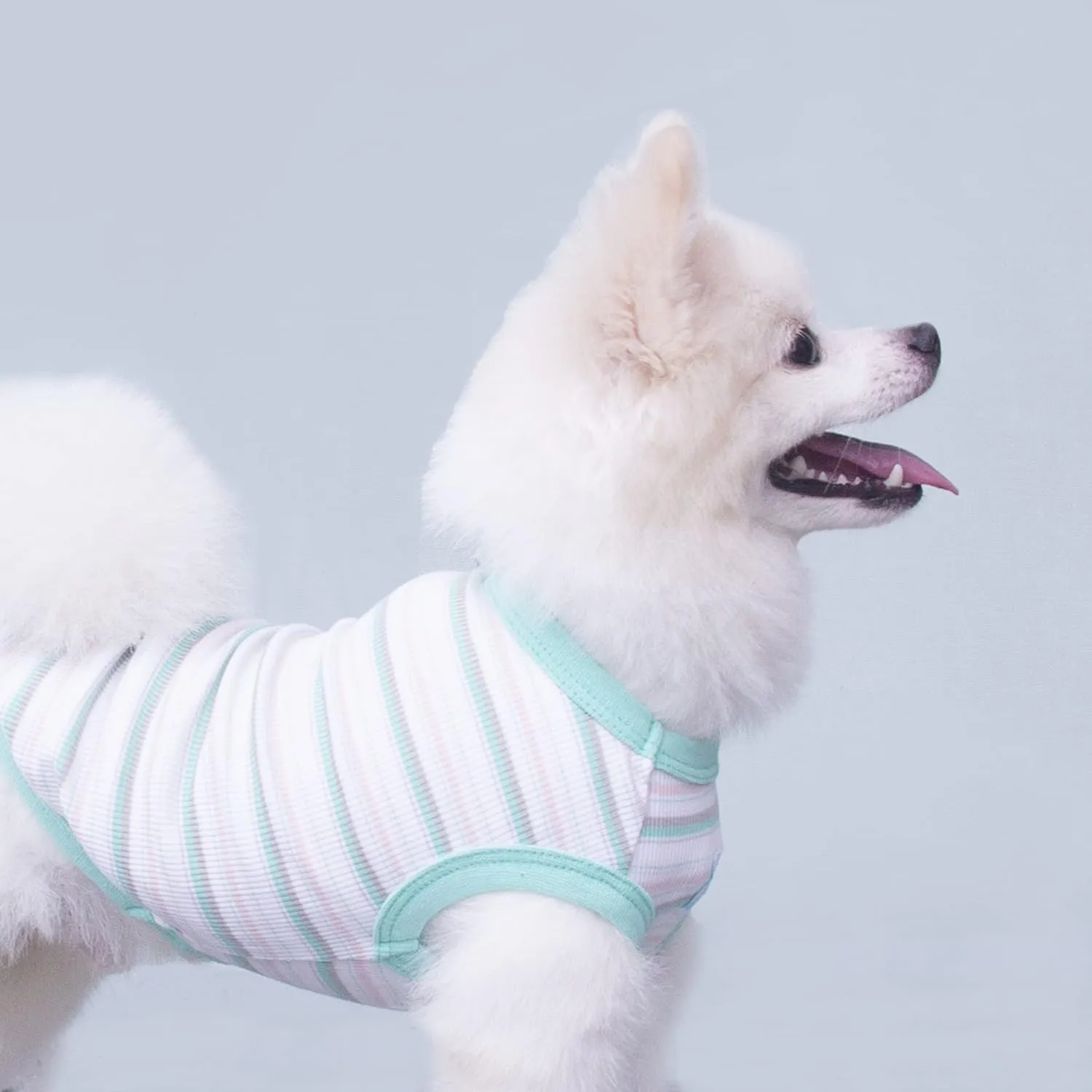 Teacup Dog Hawaiian Shirts, Puppy Clothes Summer T-shirts for Small Dogs and Cats, Printed Chihuahua Clothes Pet Apparel for Dog Boys