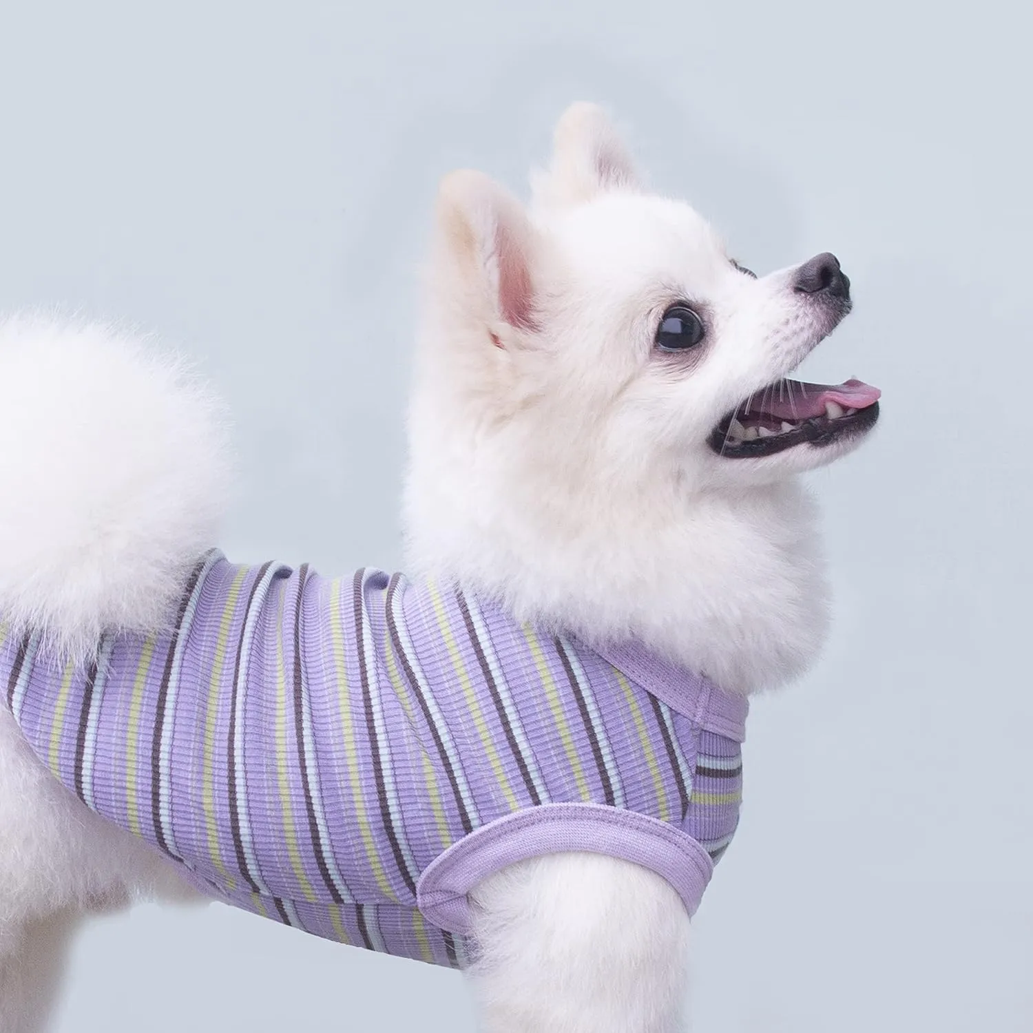 Teacup Dog Hawaiian Shirts, Puppy Clothes Summer T-shirts for Small Dogs and Cats, Printed Chihuahua Clothes Pet Apparel for Dog Boys