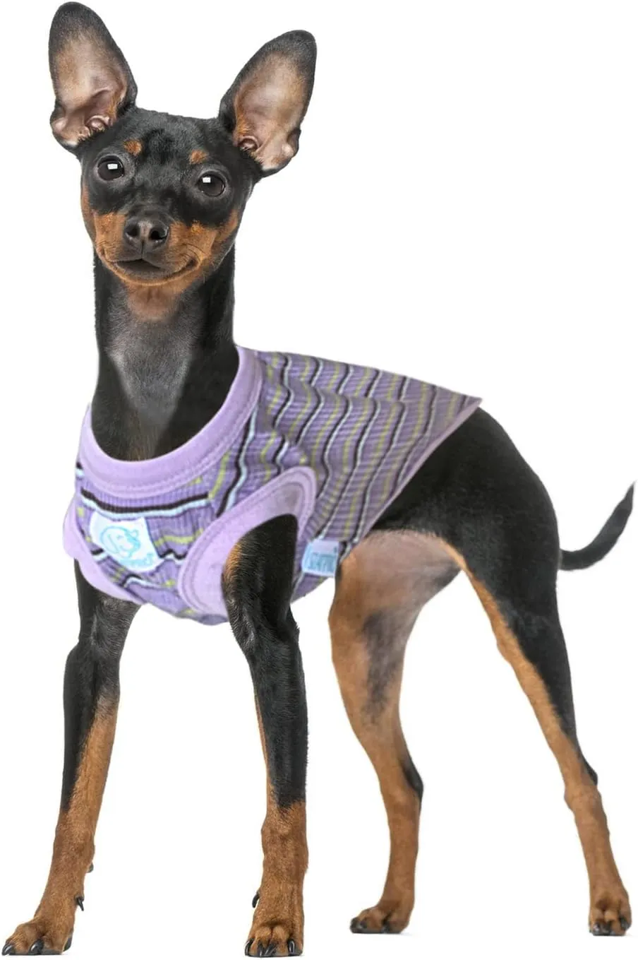 Teacup Dog Hawaiian Shirts, Puppy Clothes Summer T-shirts for Small Dogs and Cats, Printed Chihuahua Clothes Pet Apparel for Dog Boys